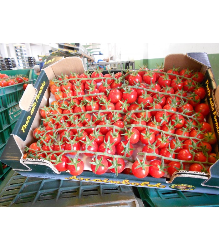 Pomodoro Ciliegino 3kg Pomodoro Ciliegino 3kg