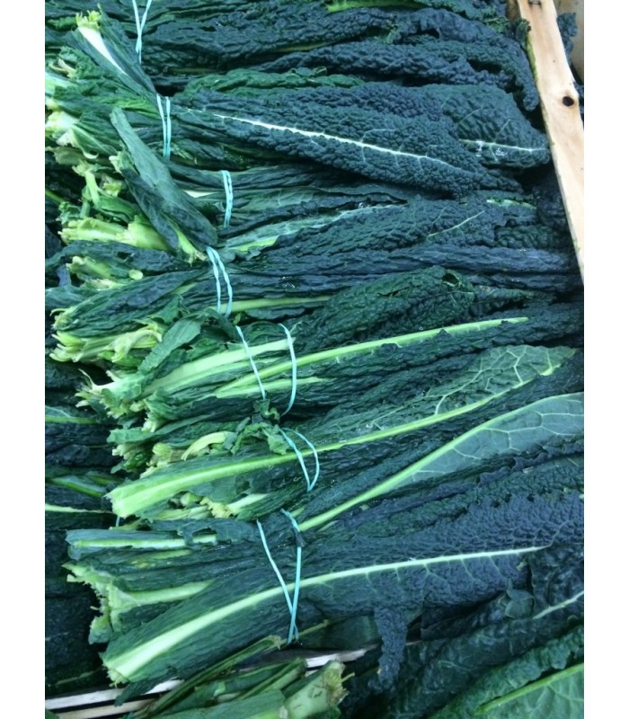 Cedri di Amalfi 5kg Cedri di Amalfi 5kg