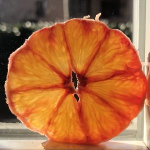 arance-tarocco-sicilia