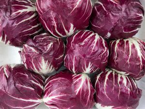 radicchio-rosso-tondo-chioggia