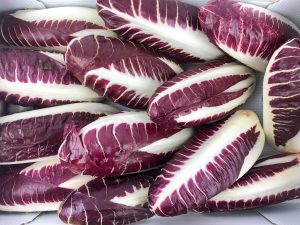 radicchio-lungo-precoce-veneto