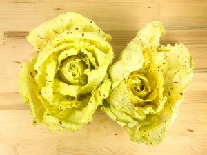 radicchio-variegato-veneto-castelfranco